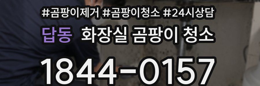 답동 화장실 곰팡이 청소