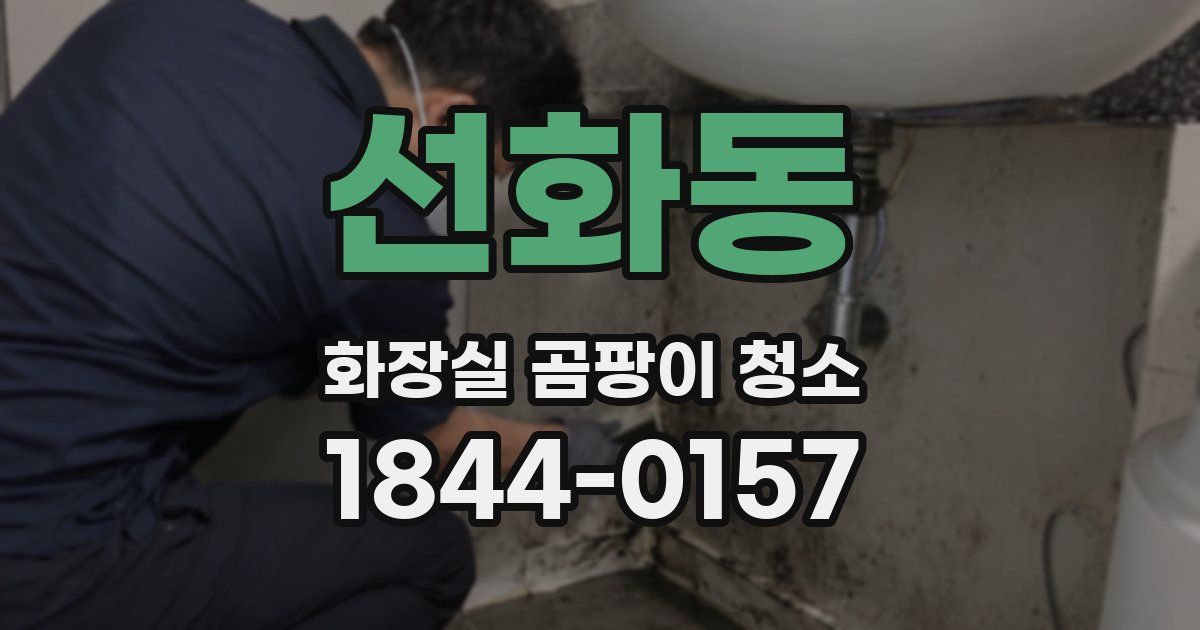 선화동 화장실 곰팡이 청소