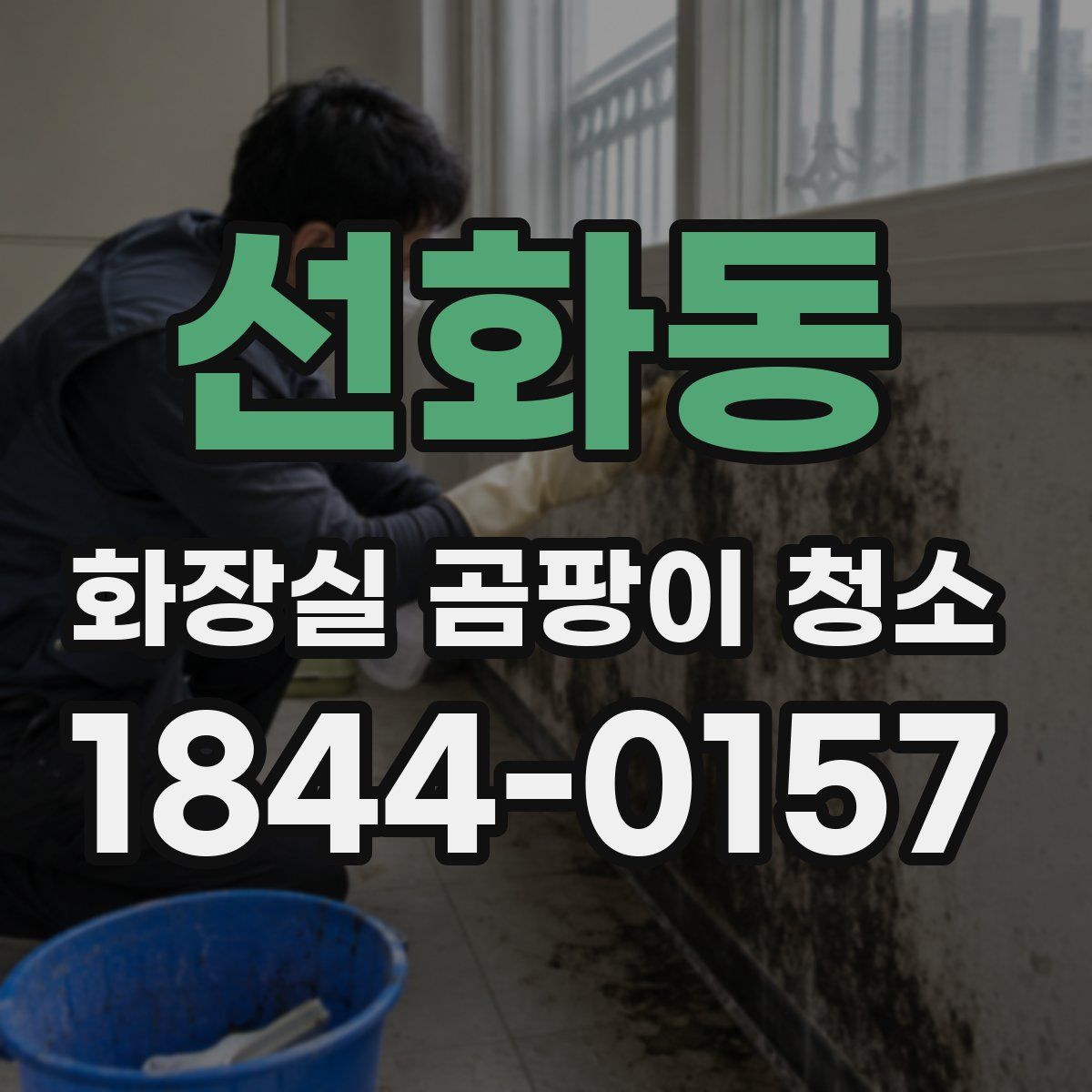 선화동 화장실 곰팡이 청소
