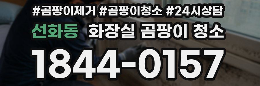 선화동 화장실 곰팡이 청소