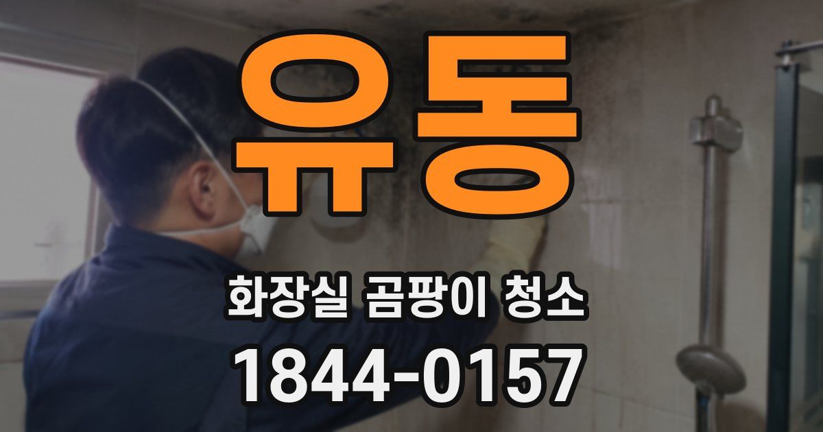 유동 화장실 곰팡이 청소