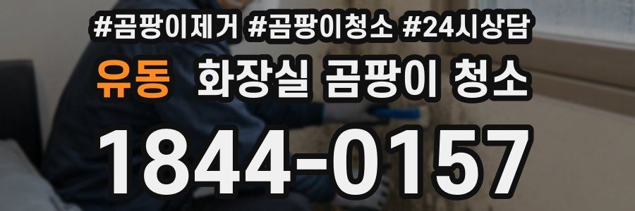 유동 화장실 곰팡이 청소