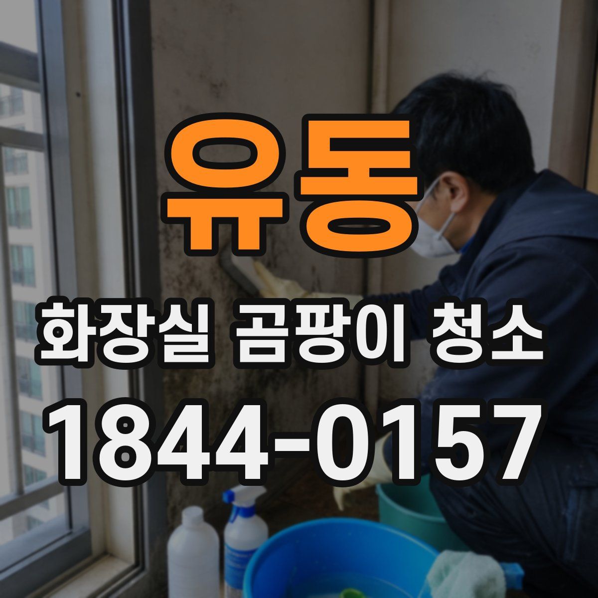 유동 화장실 곰팡이 청소