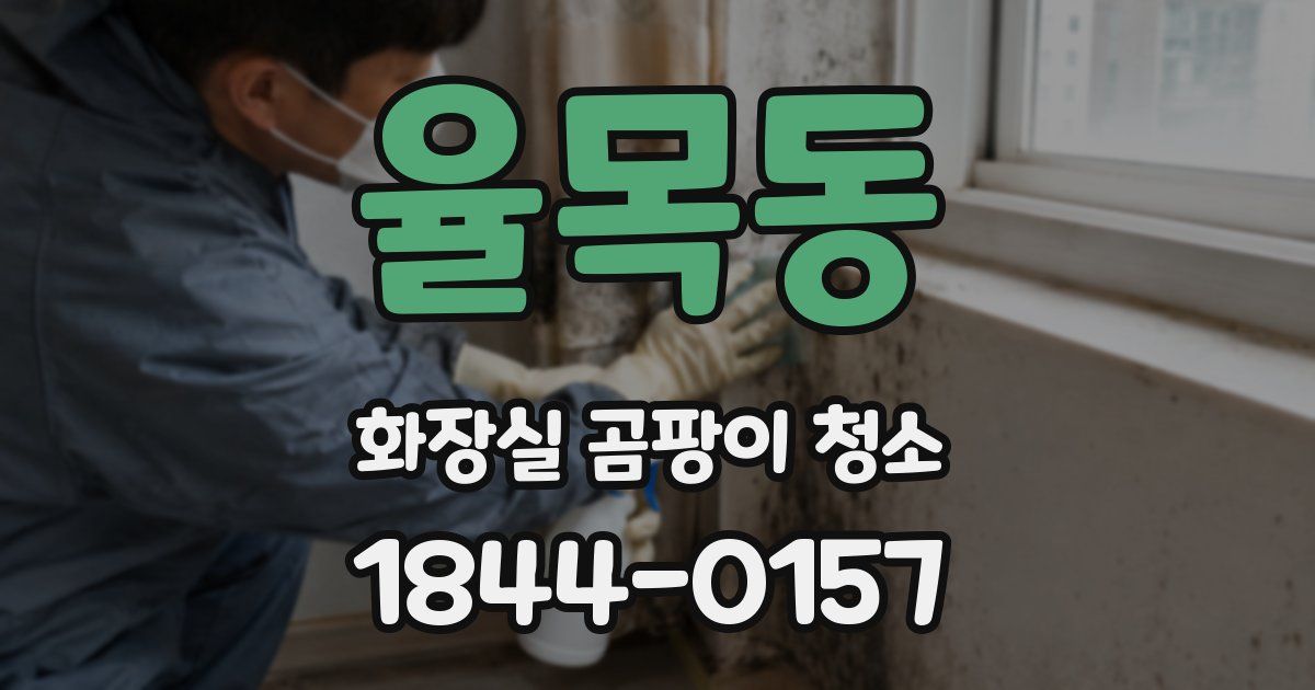 율목동 화장실 곰팡이 청소