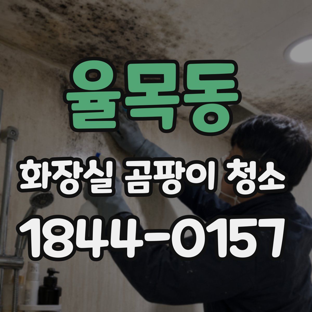 율목동 화장실 곰팡이 청소