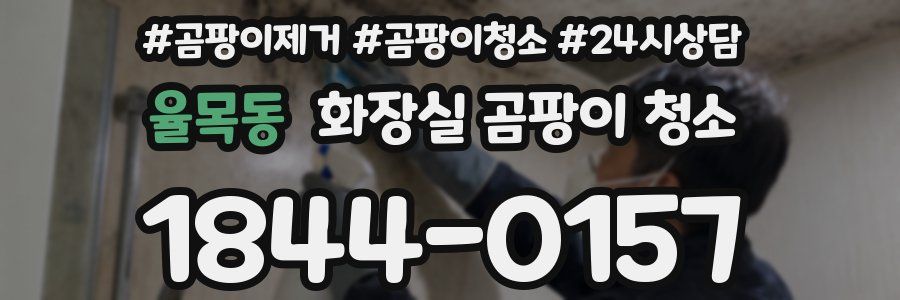 율목동 화장실 곰팡이 청소