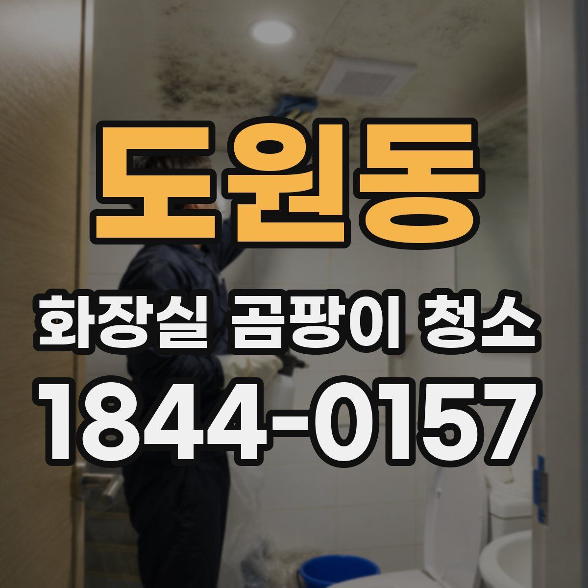 도원동 화장실 곰팡이 청소