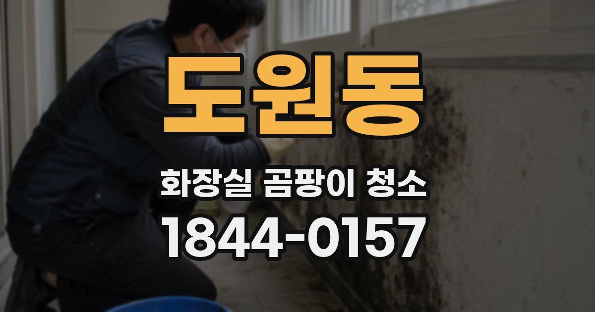 도원동 화장실 곰팡이 청소