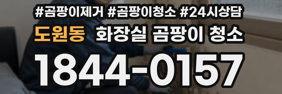 도원동 화장실 곰팡이 청소