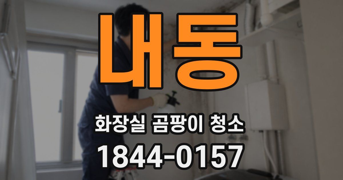 내동 화장실 곰팡이 청소