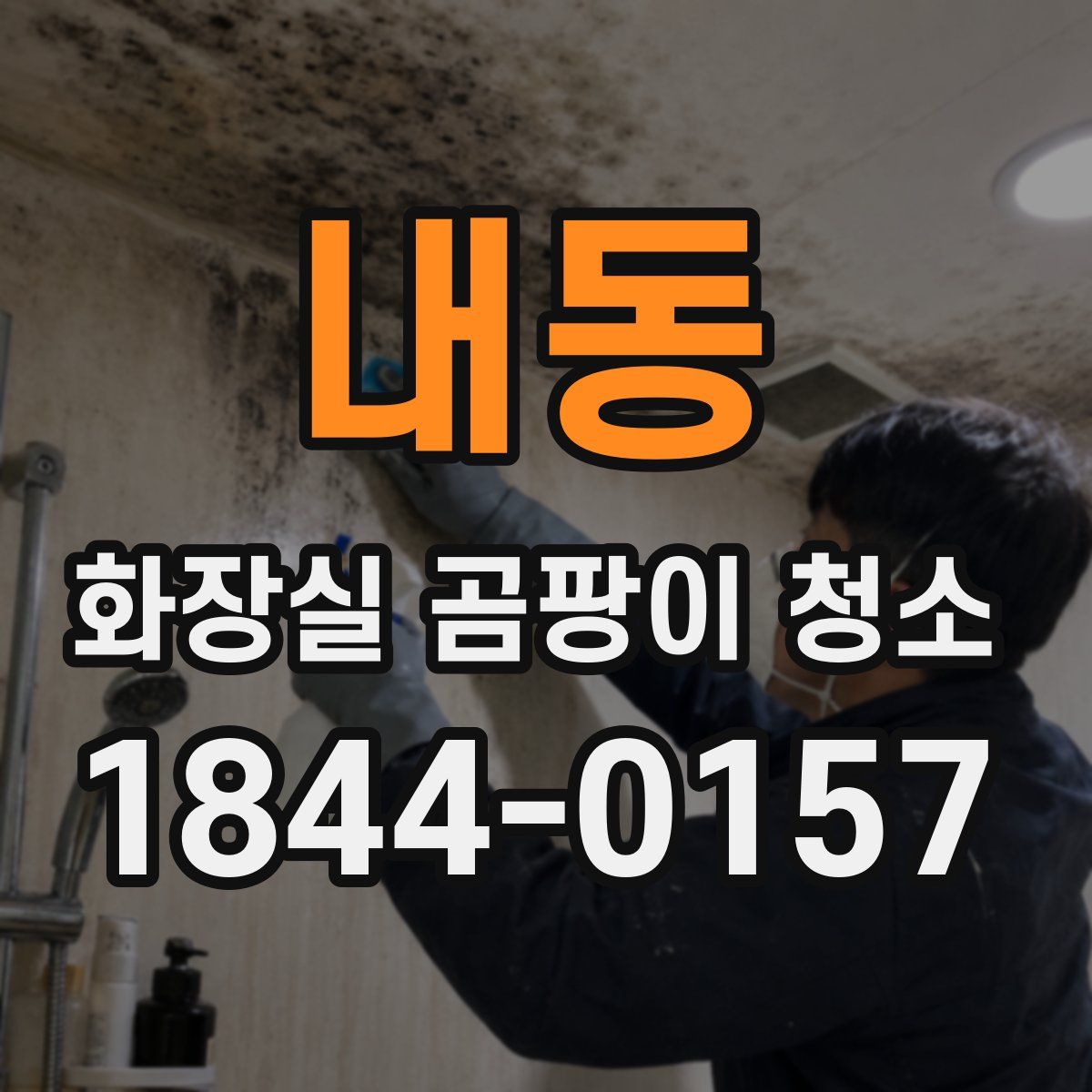 내동 화장실 곰팡이 청소