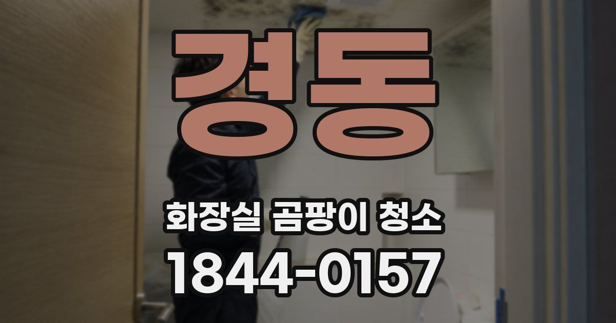 경동 화장실 곰팡이 청소