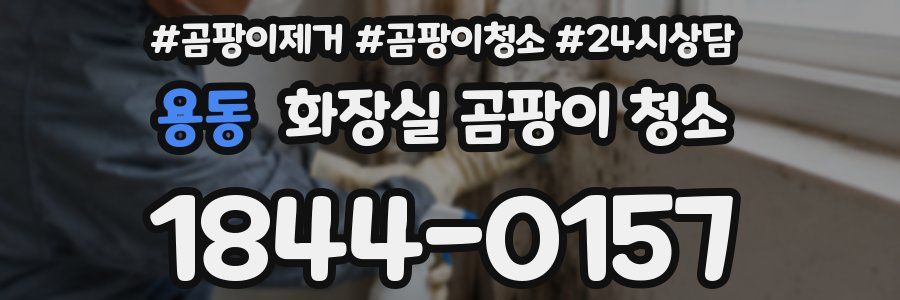 용동 화장실 곰팡이 청소