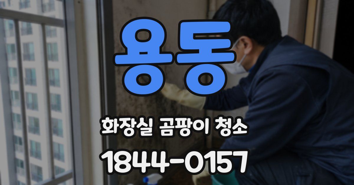 용동 화장실 곰팡이 청소