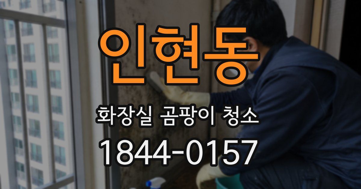 인현동 화장실 곰팡이 청소