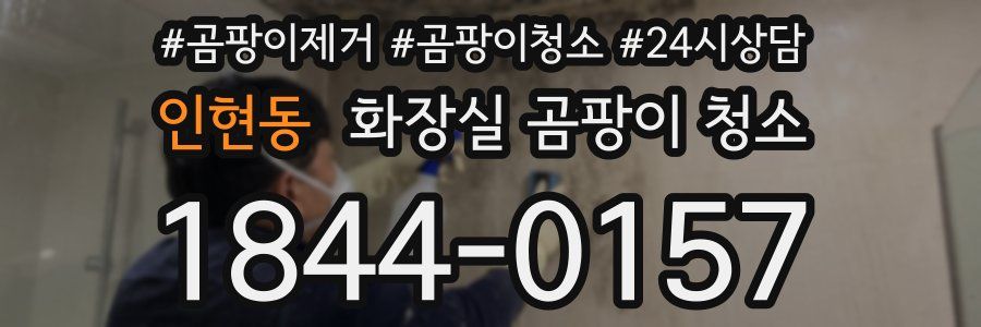 인현동 화장실 곰팡이 청소