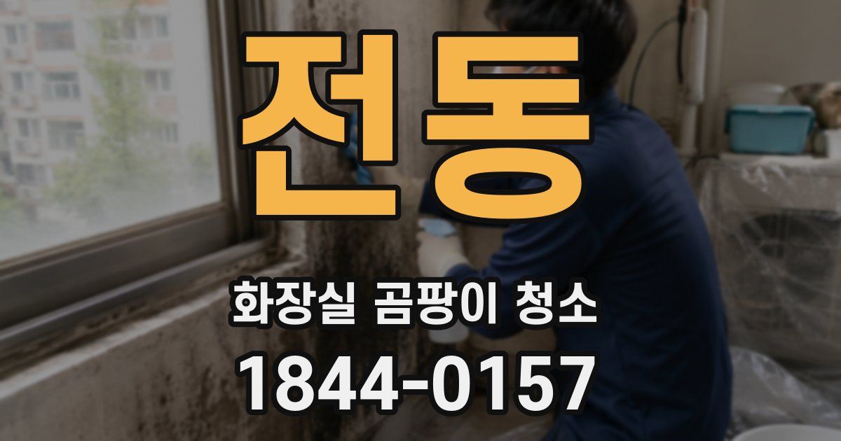 전동 화장실 곰팡이 청소