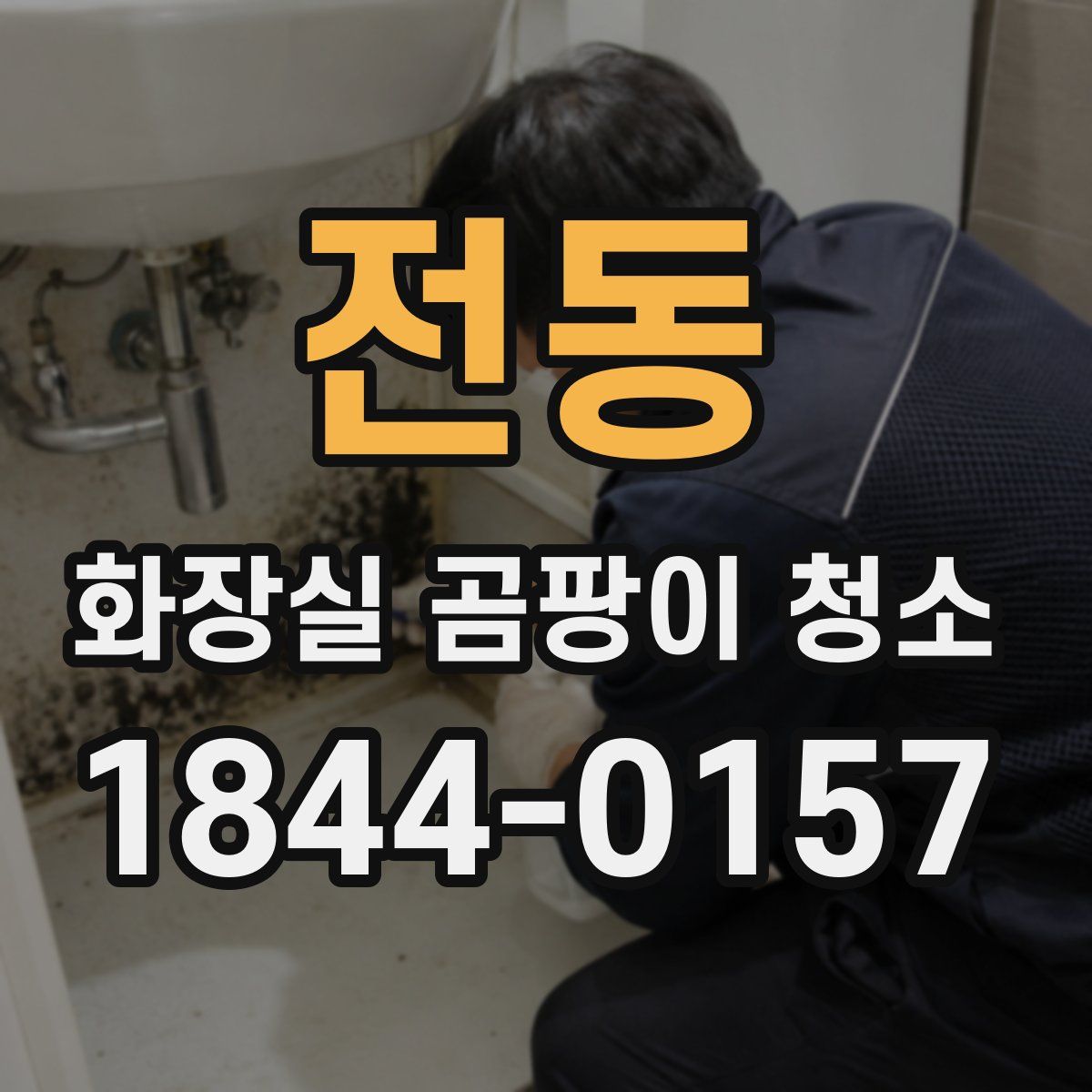 전동 화장실 곰팡이 청소