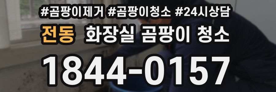 전동 화장실 곰팡이 청소