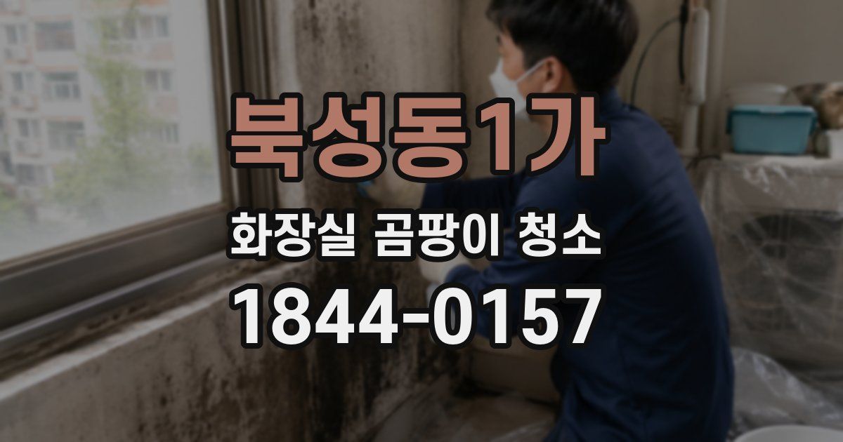 북성동1가 화장실 곰팡이 청소