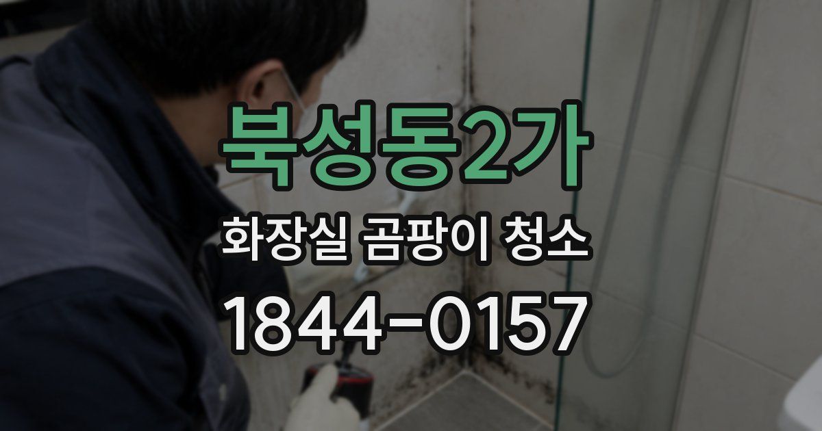 북성동2가 화장실 곰팡이 청소