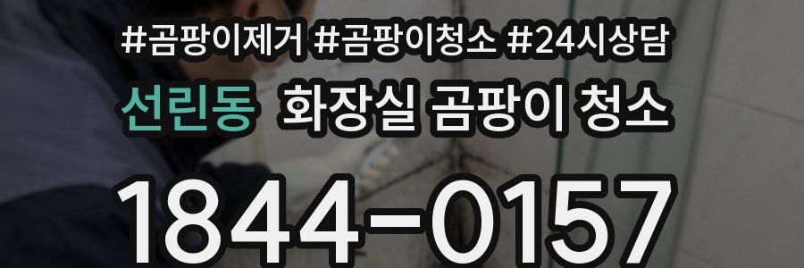 선린동 화장실 곰팡이 청소