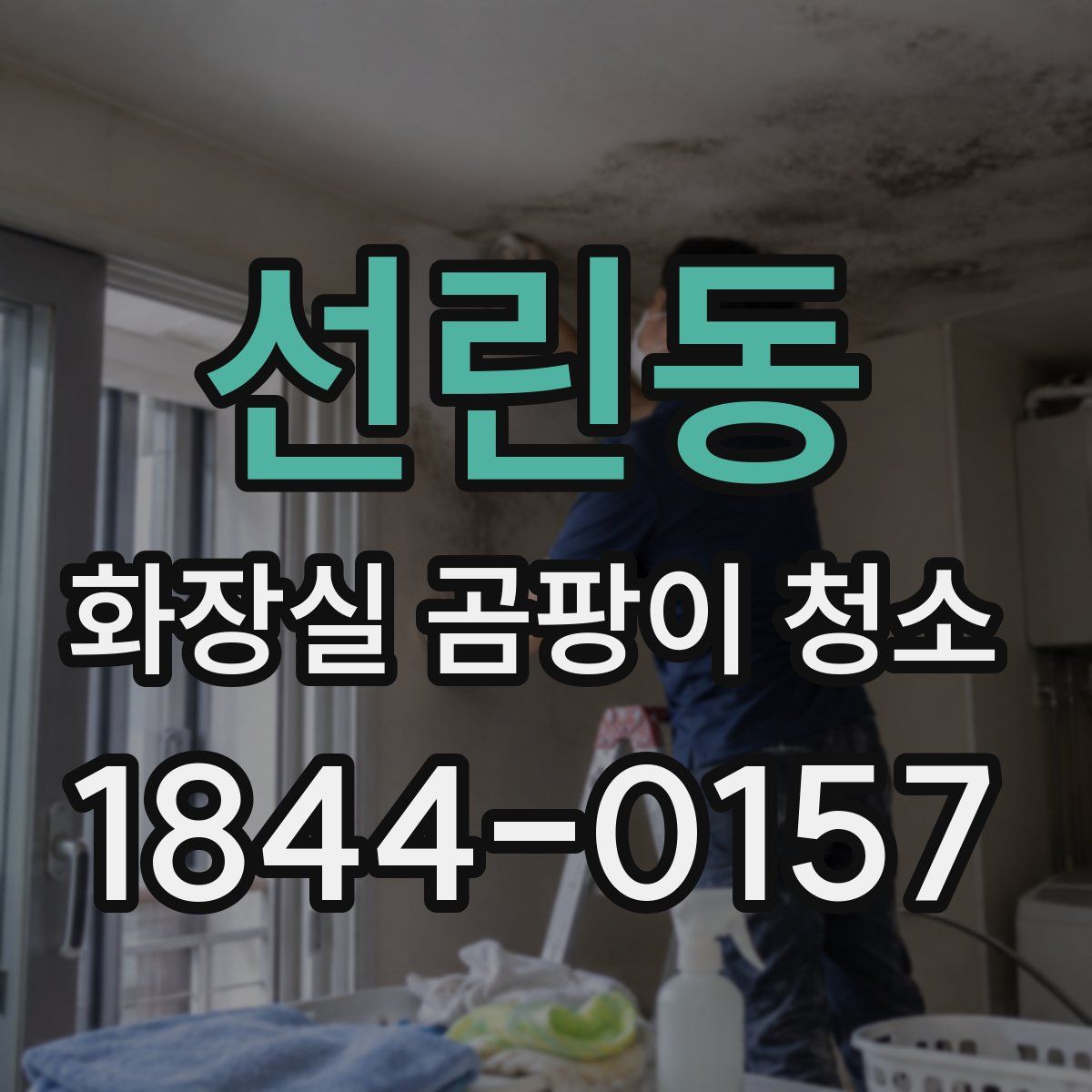 선린동 화장실 곰팡이 청소