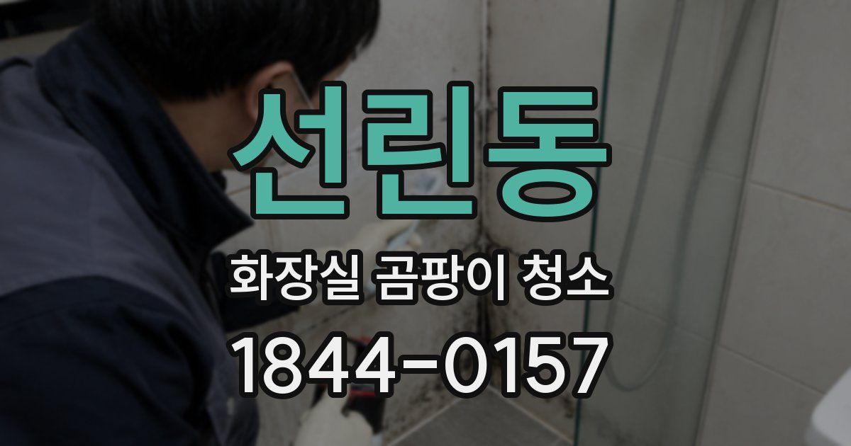 선린동 화장실 곰팡이 청소