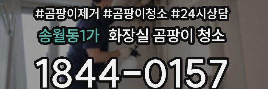 송월동1가 화장실 곰팡이 청소