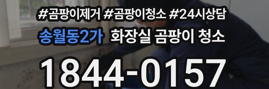 송월동2가 화장실 곰팡이 청소