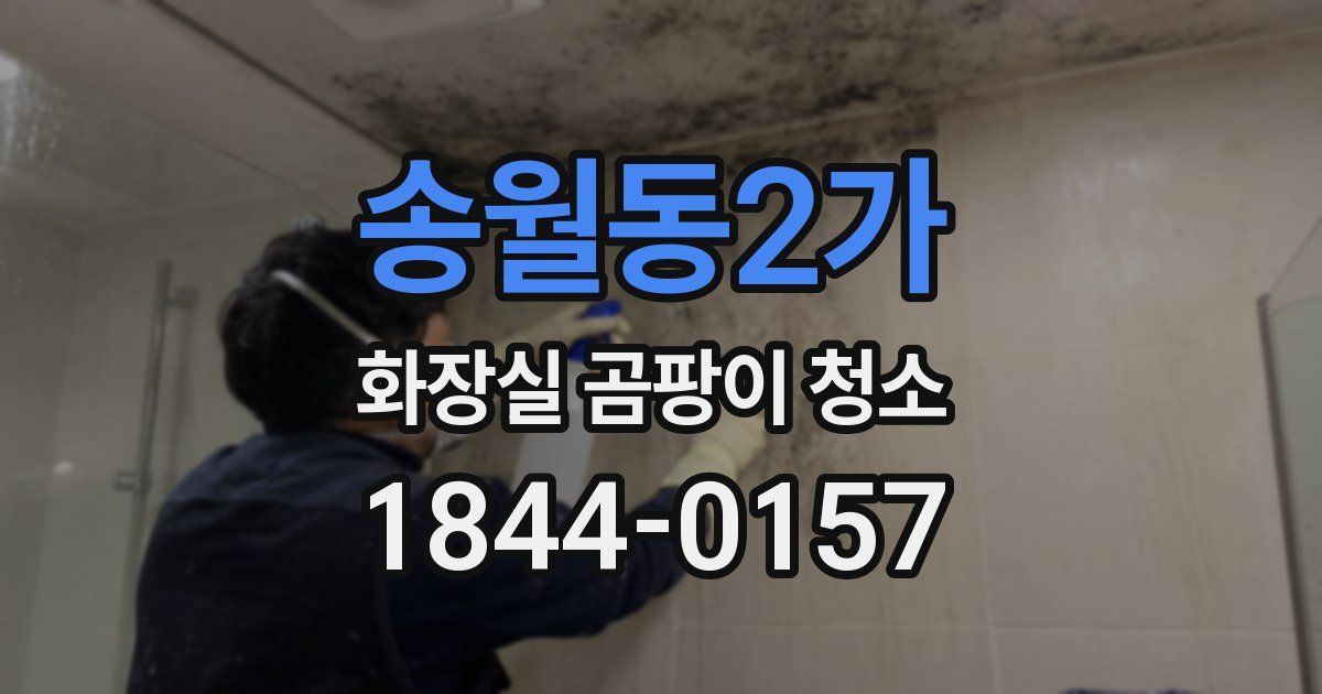 송월동2가 화장실 곰팡이 청소