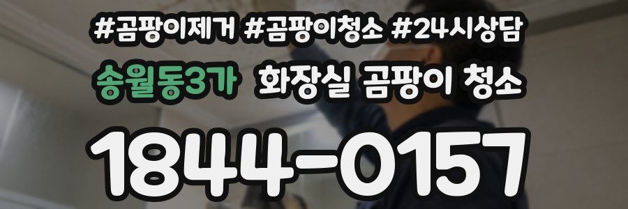 송월동3가 화장실 곰팡이 청소