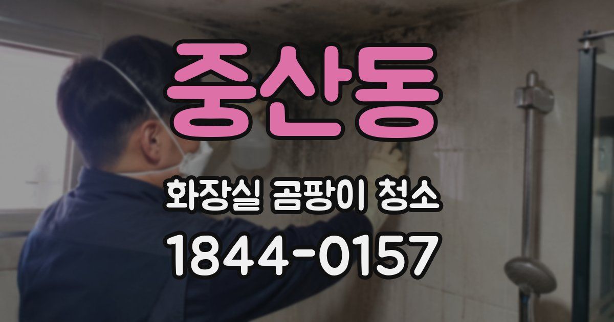 중산동 화장실 곰팡이 청소
