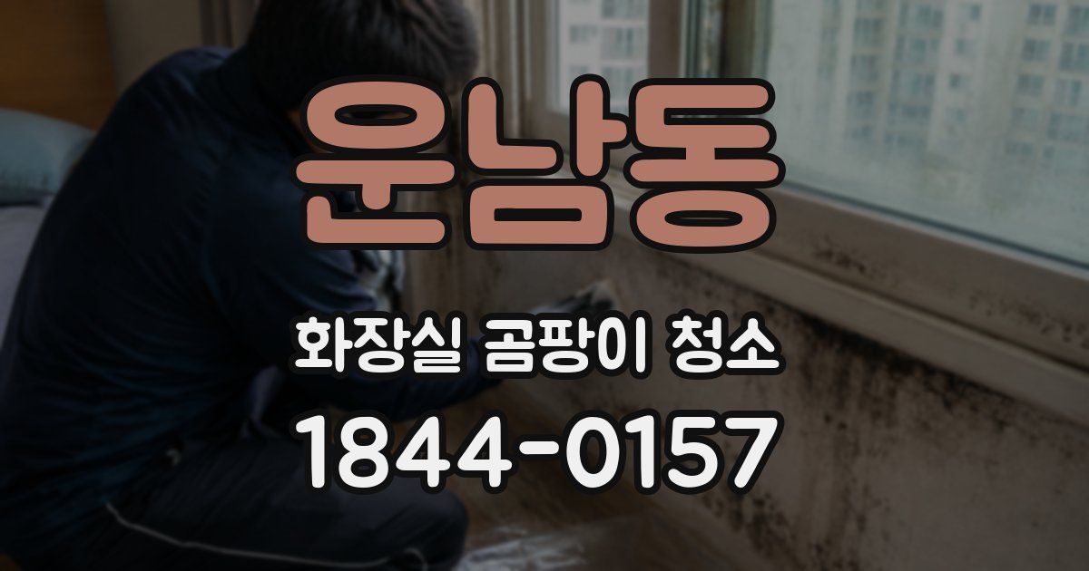 운남동 화장실 곰팡이 청소
