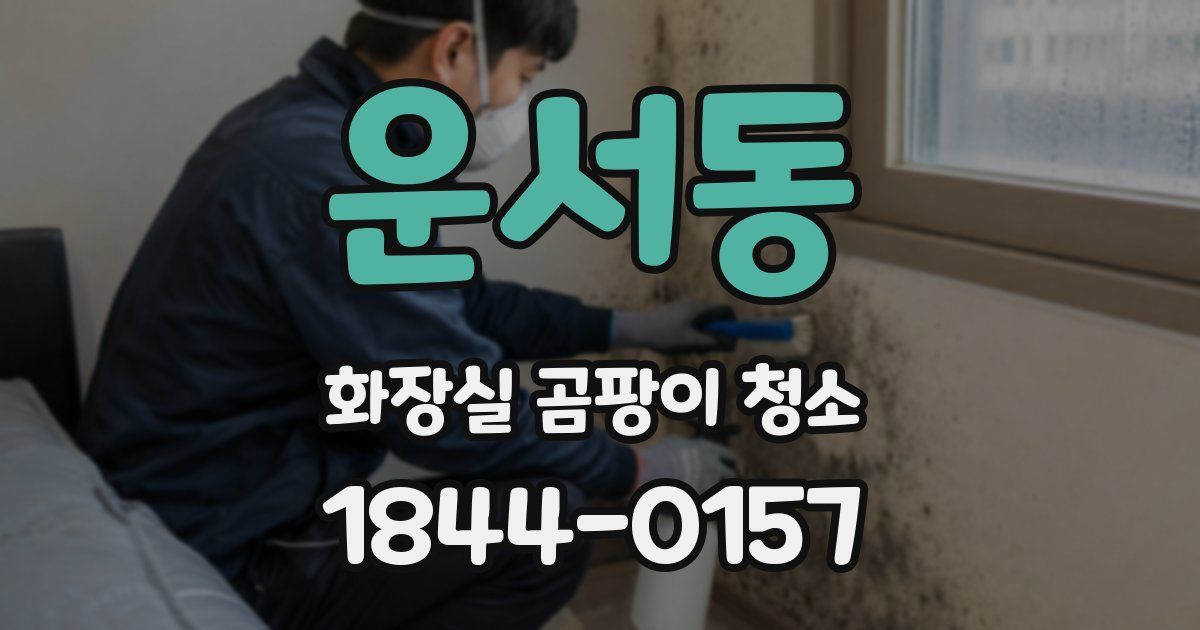 운서동 화장실 곰팡이 청소