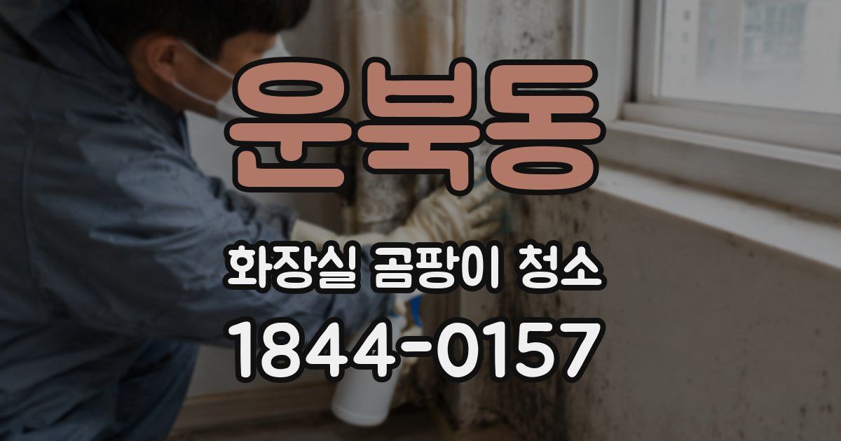 운북동 화장실 곰팡이 청소