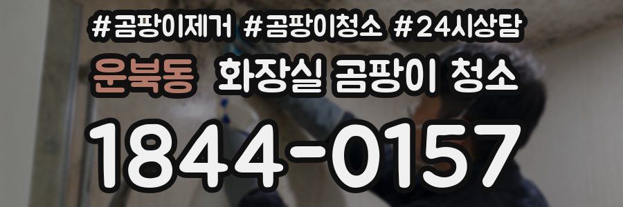 운북동 화장실 곰팡이 청소