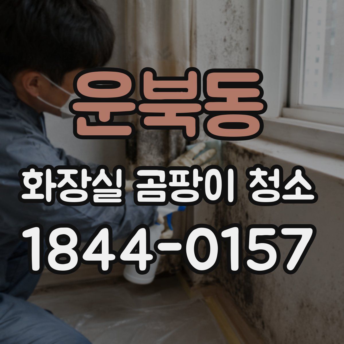 운북동 화장실 곰팡이 청소