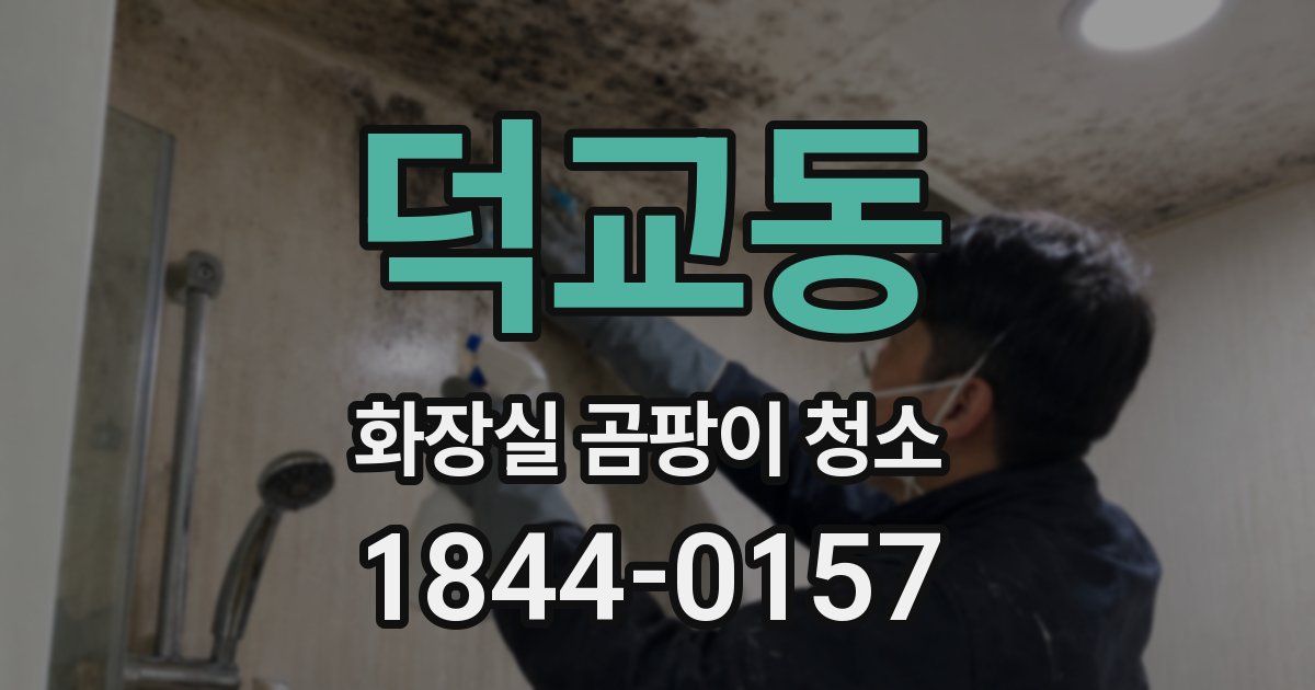 덕교동 화장실 곰팡이 청소