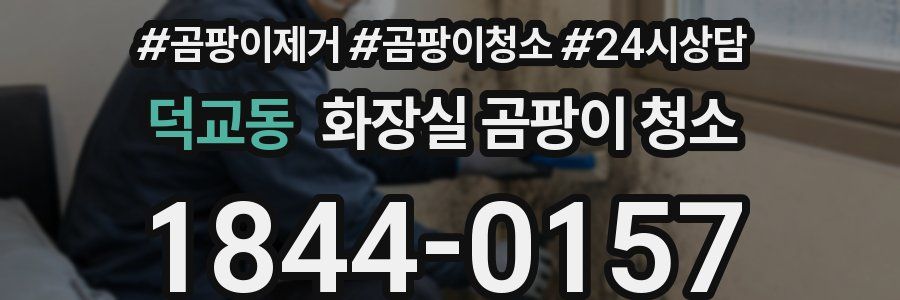 덕교동 화장실 곰팡이 청소