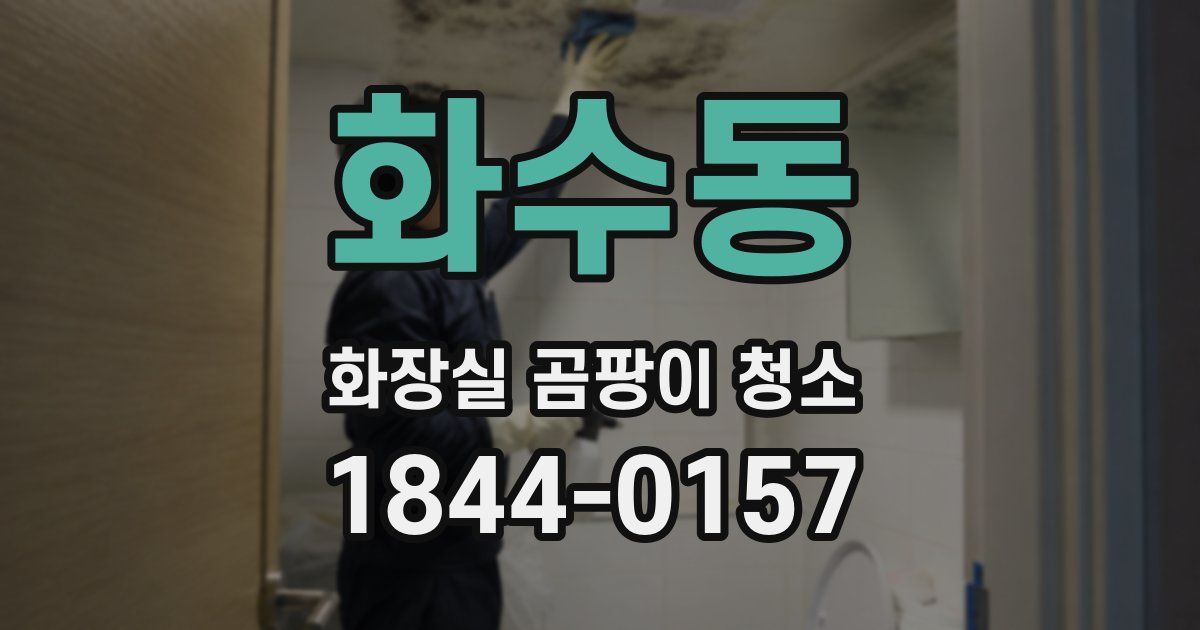 화수동 화장실 곰팡이 청소