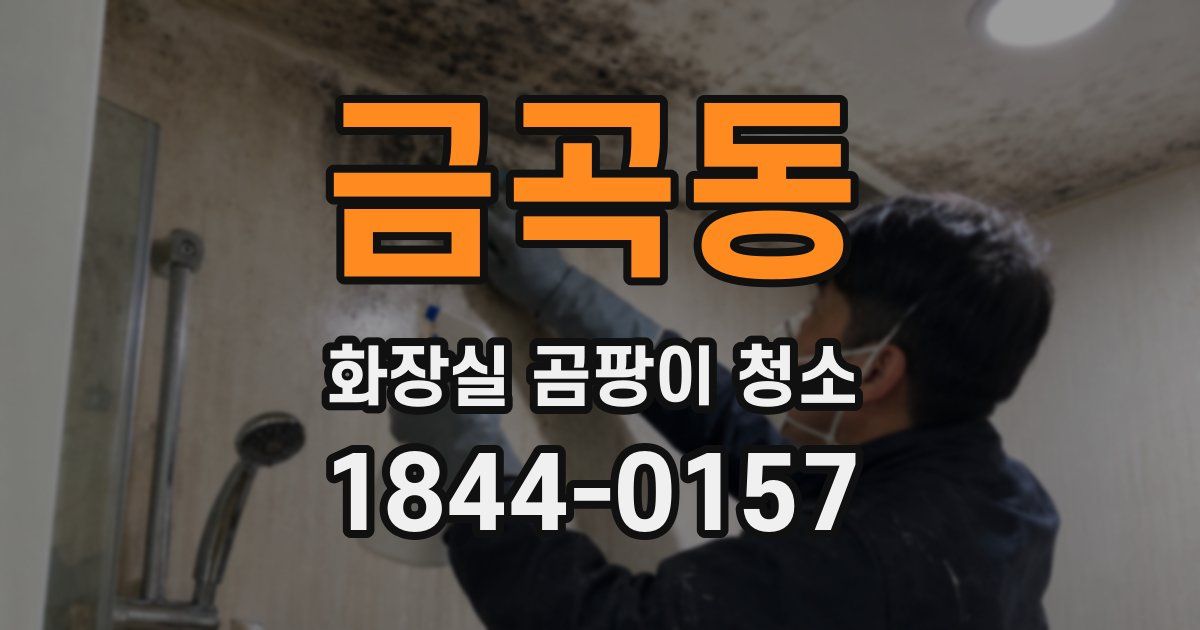 금곡동 화장실 곰팡이 청소