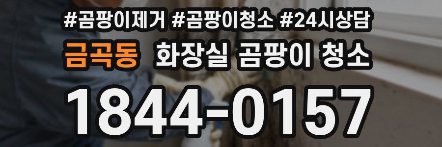 금곡동 화장실 곰팡이 청소