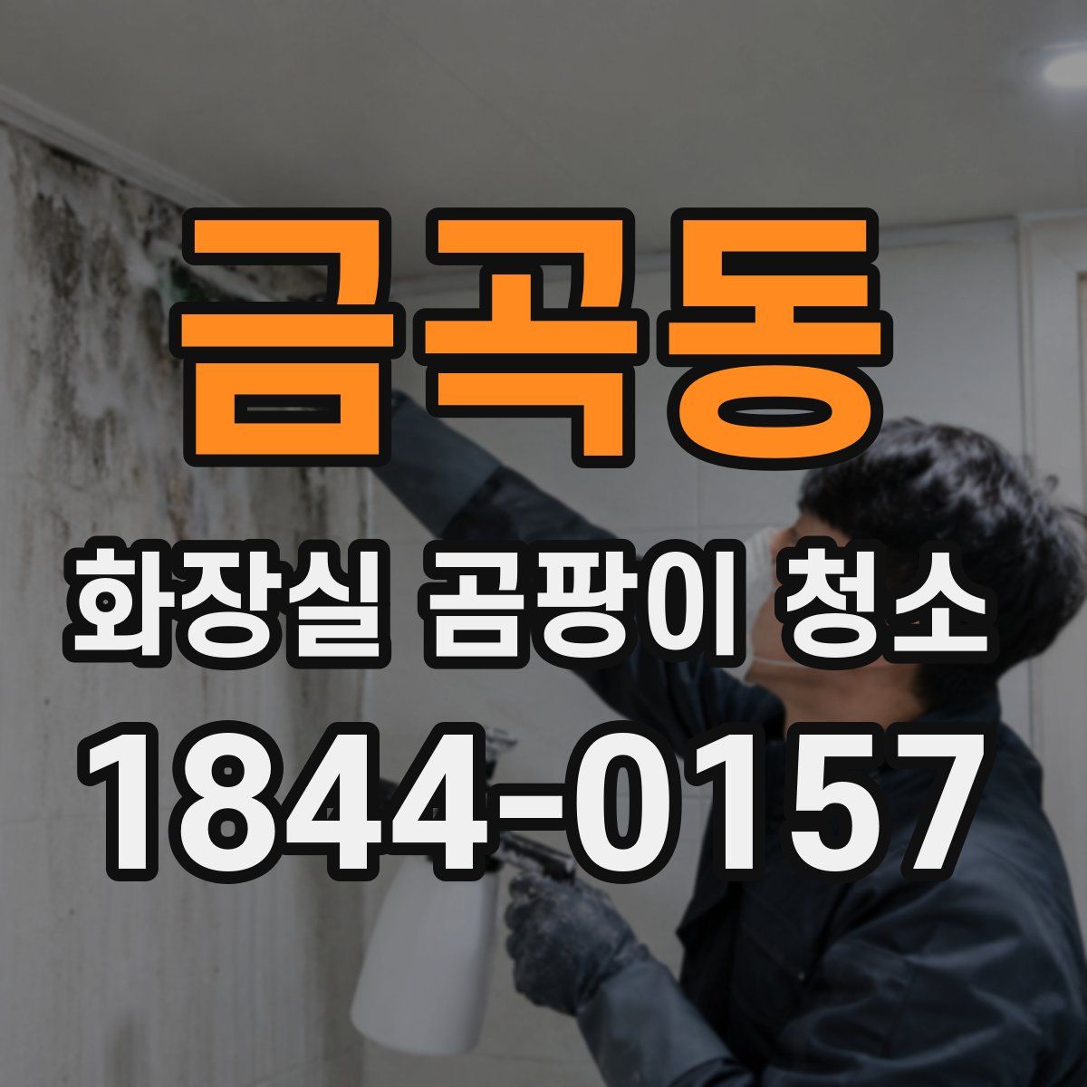 금곡동 화장실 곰팡이 청소