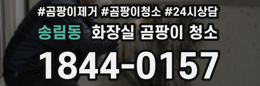 송림동 화장실 곰팡이 청소