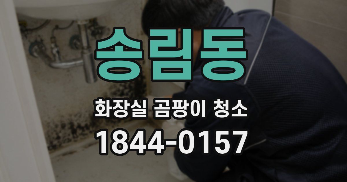 송림동 화장실 곰팡이 청소