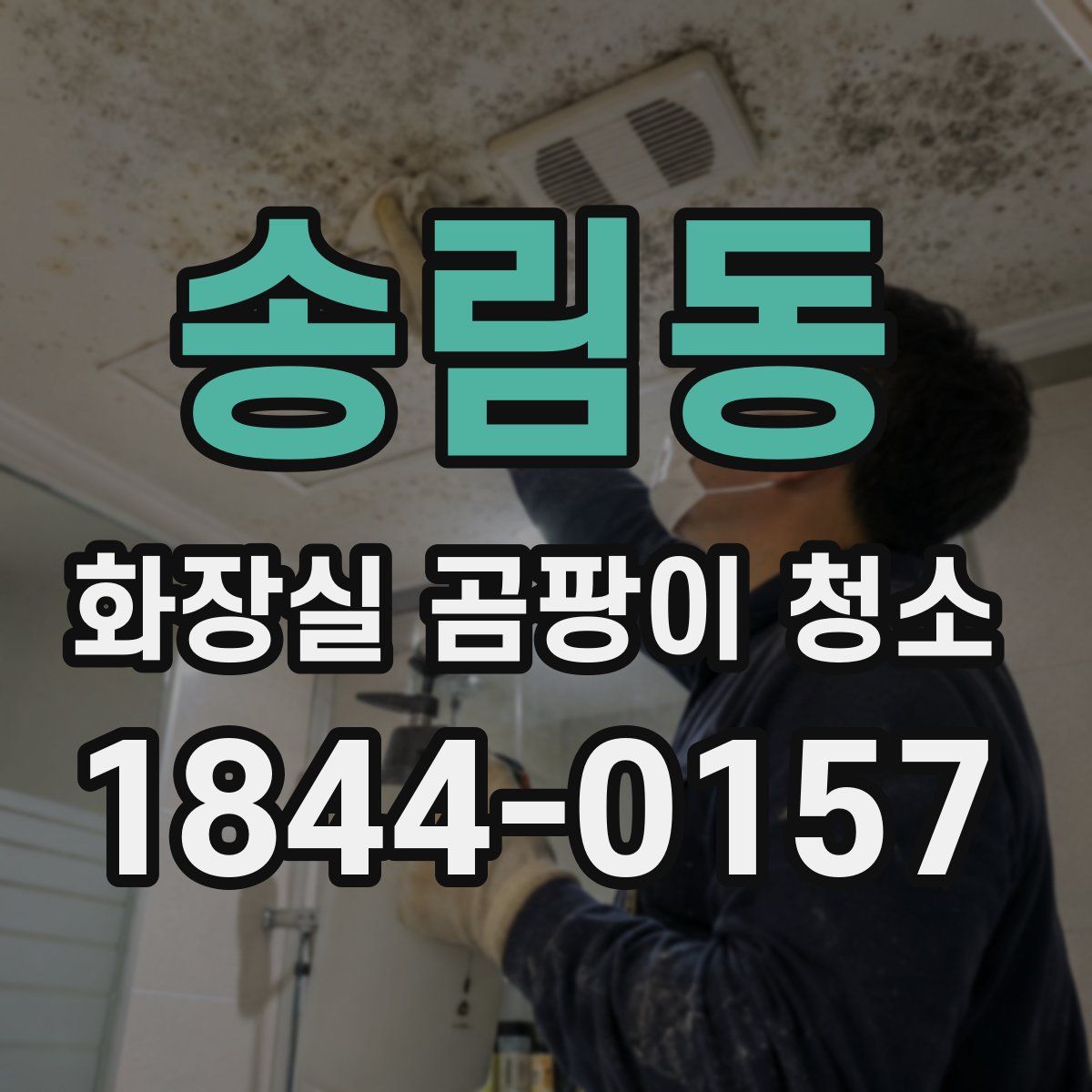 송림동 화장실 곰팡이 청소