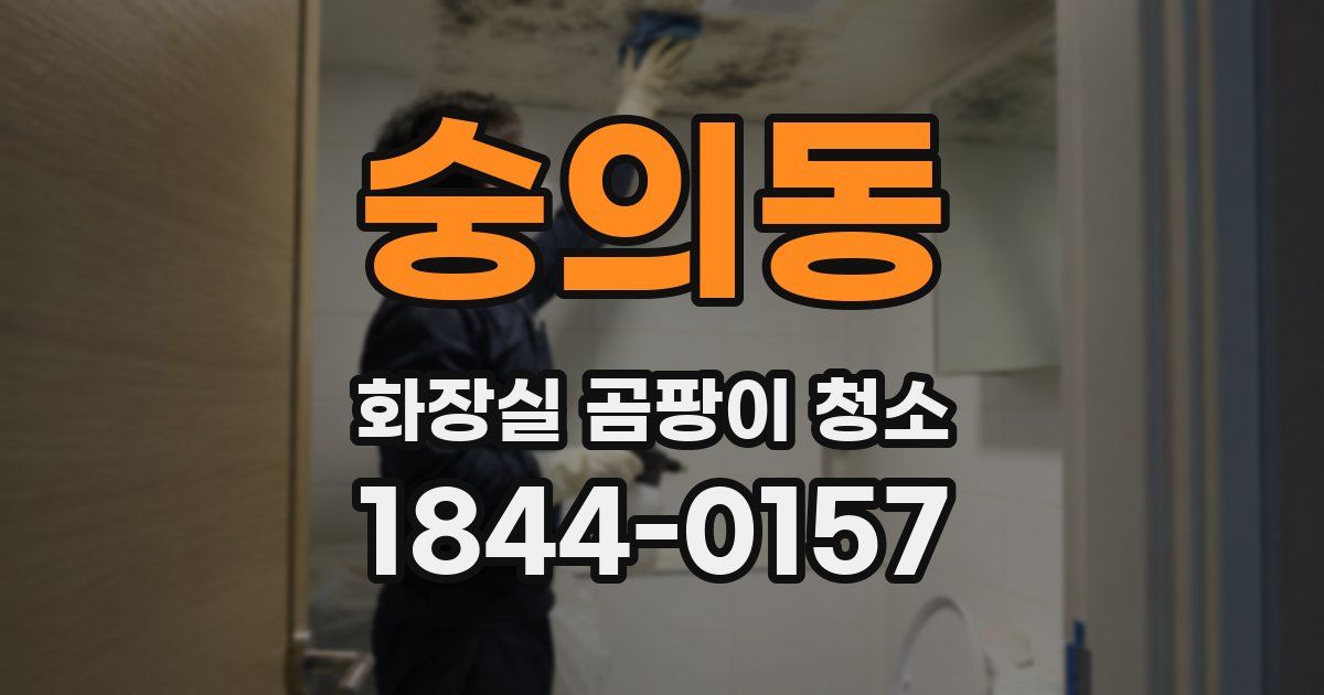 숭의동 화장실 곰팡이 청소