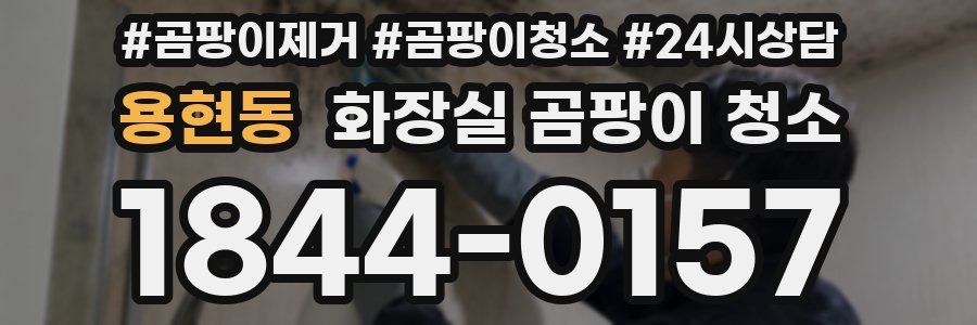 용현동 화장실 곰팡이 청소