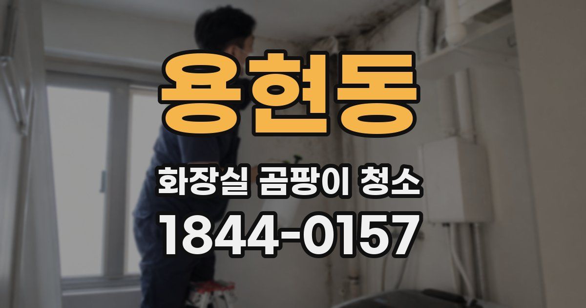 용현동 화장실 곰팡이 청소